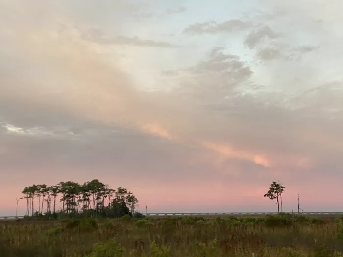 Beechland Campground Picture 1