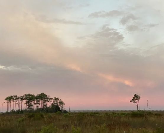 Beechland Campground