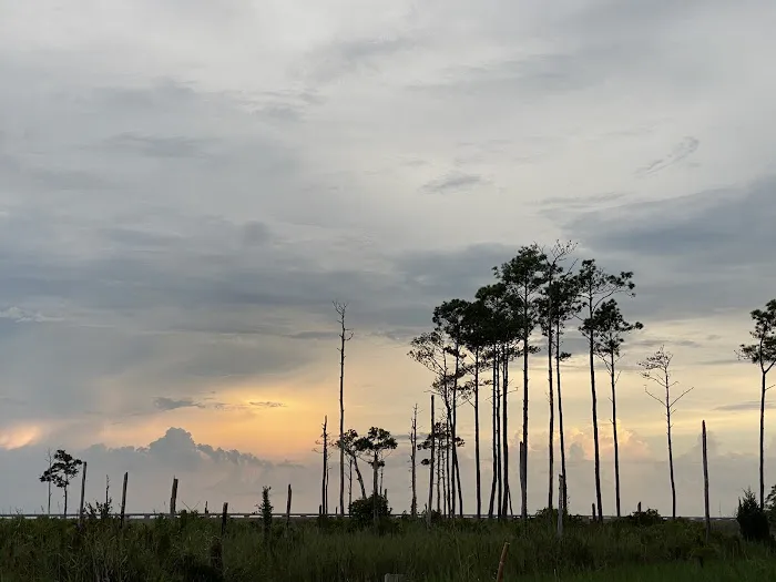 Beechland Campground Picture 9