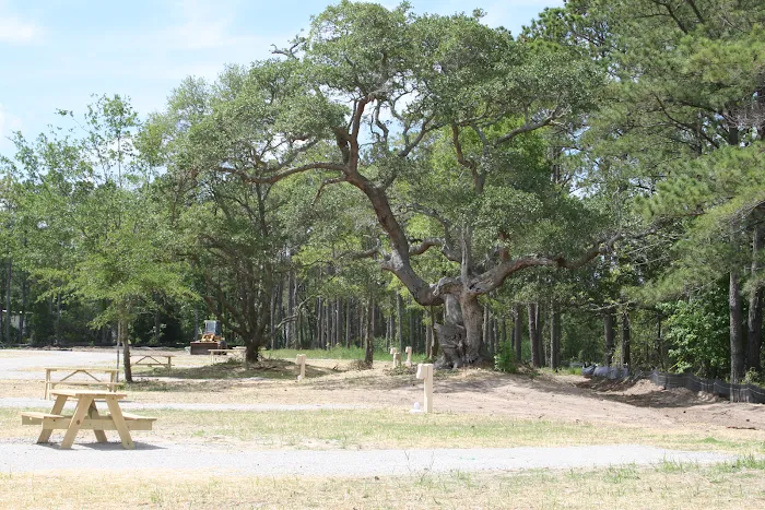 OBX Campground Picture 10