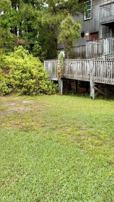 Adventure Bound Campground & Hostel Picture 2