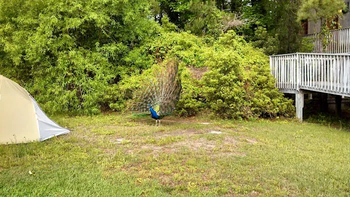 Adventure Bound Campground & Hostel Picture 9