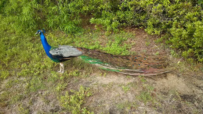 Adventure Bound Campground & Hostel Picture 6