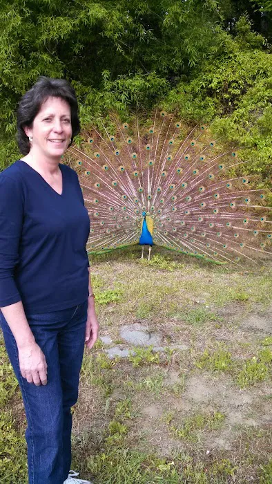 Adventure Bound Campground & Hostel Picture 10