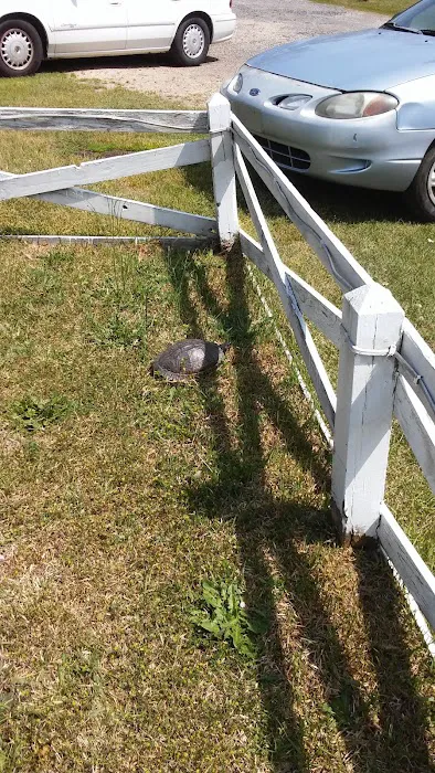 Adventure Bound Campground & Hostel Picture 5