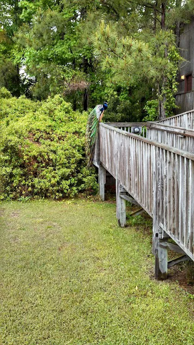 Adventure Bound Campground & Hostel Picture 4