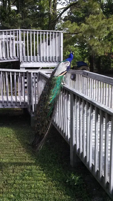 Adventure Bound Campground & Hostel Picture 8