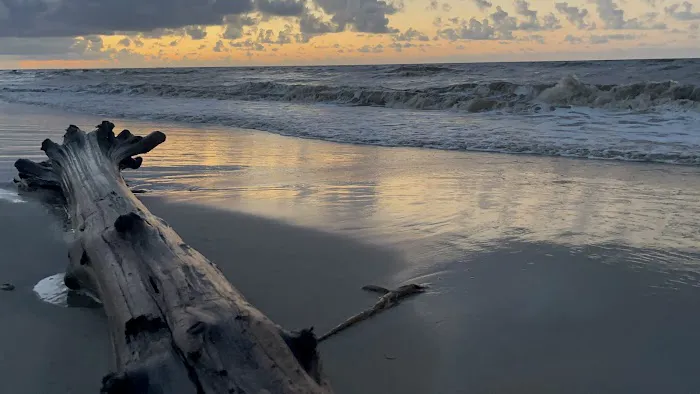 Holly Beach, LA Picture 8