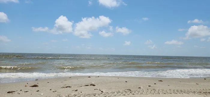 Holly Beach, LA Picture 9