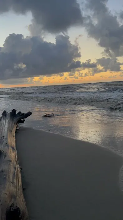 Holly Beach, LA Picture 5