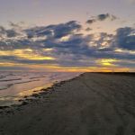 Piping Plover Campground