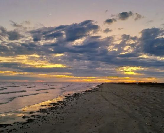 Piping Plover Campground