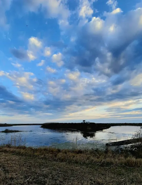 Piping Plover Campground Picture 5