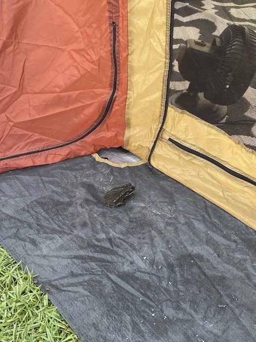 Piping Plover Campground Picture 9
