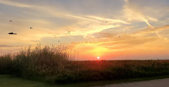 Piping Plover Campground Picture 7