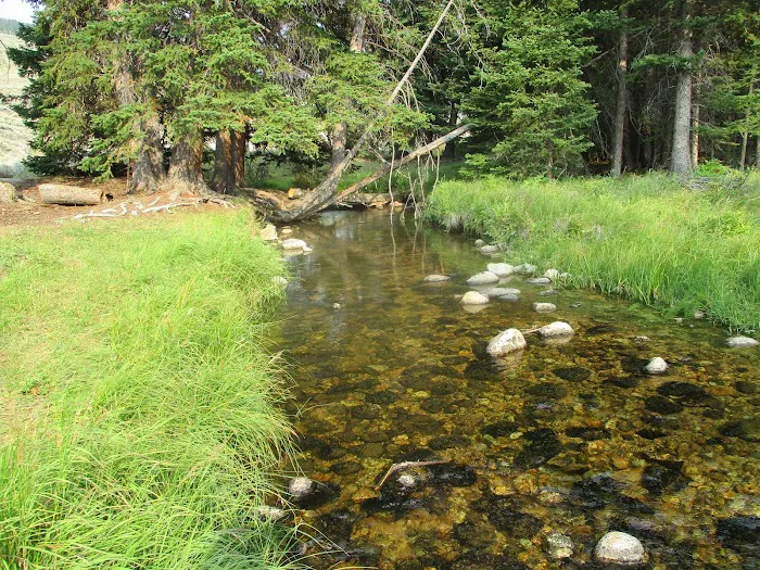 Shell Creek Campground Picture 4