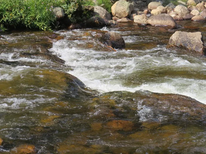 Shell Creek Campground Picture 10