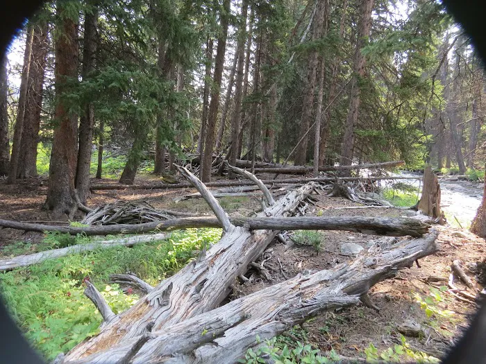 Shell Creek Campground Picture 7