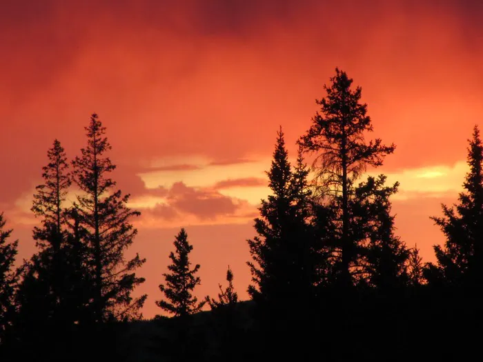 RANGER CREEK Picture 9