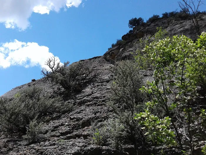 Tongue River Campground Picture 8