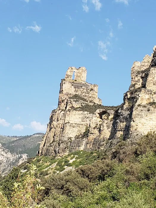 Tongue River Campground Picture 10