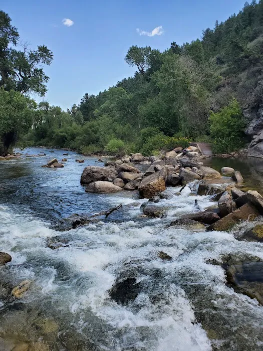 Tongue River Campground Picture 7