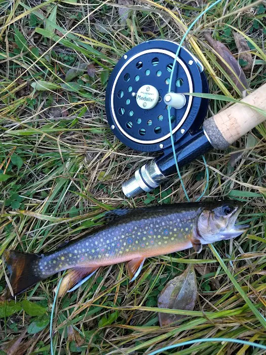 Twin Lakes Picnic Site (recgovnpsdata) Picture 1
