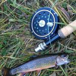 Twin Lakes Picnic Site (recgovnpsdata)