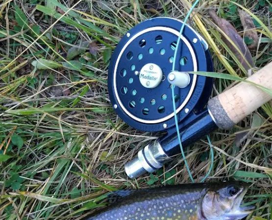 Twin Lakes Picnic Site (recgovnpsdata)