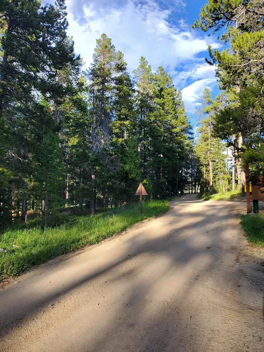 Ranger Creek Campground Picture 2