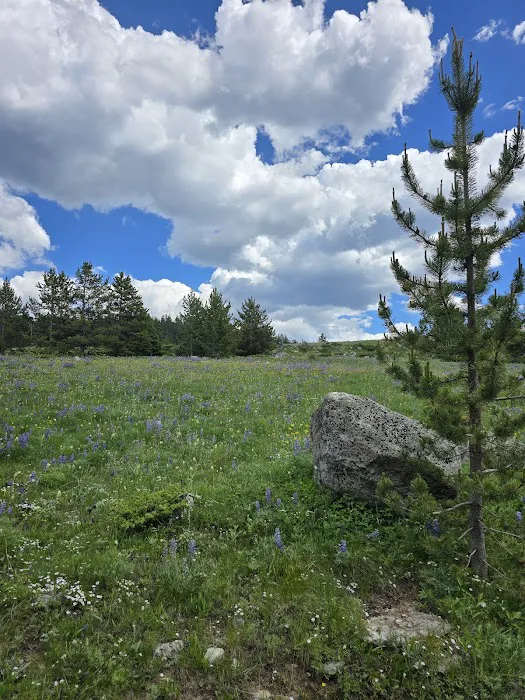 East Fork Campground Picture 2