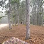 East Fork Campground