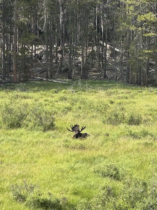 East Fork Campground Picture 4