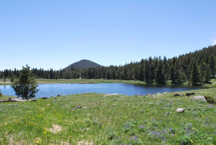 Medicine Lodge Lake Campground Picture 1
