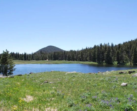 Medicine Lodge Lake Campground
