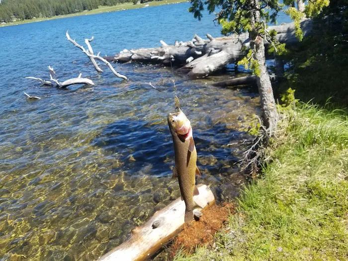 Medicine Lodge Lake Campground Picture 8