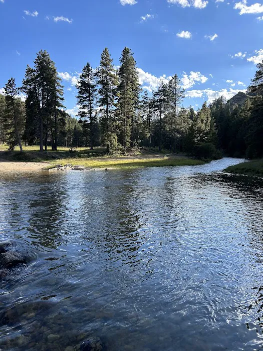 Little Goose Campground Picture 3