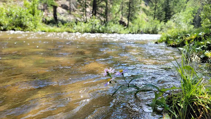 Little Goose Campground Picture 2