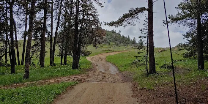 Little Goose Campground Picture 8