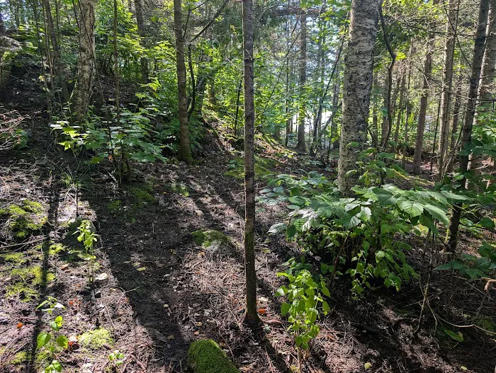 BWCA Campsite #1249 Picture 3