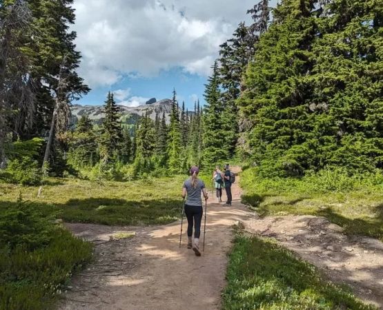 Best U.S. Campgrounds for Bluff Ridge Panorama