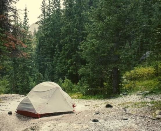 How to Choose Between Gravel, Grass, or Dirt Campsites for Better Outdoor Comfort
