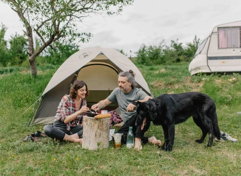 Best U.S. Campgrounds for Pet Owners – Where to Camp with Your Furry Friends