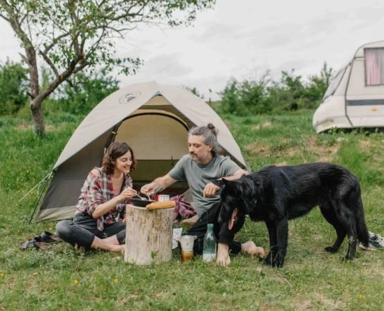 Best U.S. Campgrounds for Pet Owners – Where to Camp with Your Furry Friends