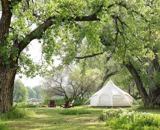 Best U.S. Campgrounds for Leaf Peeping Adventures