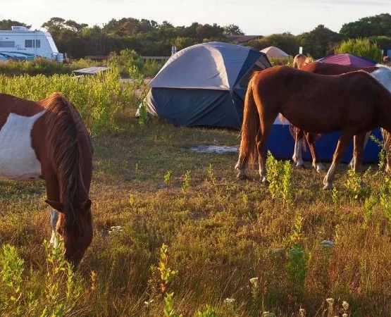 Best U.S. Campgrounds Near State Borders for Multi-State Trips