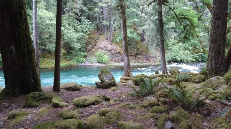 The Best Campgrounds in the Pacific Northwest – Explore Nature’s Hidden Gems