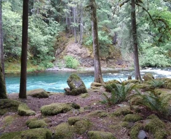 The Best Campgrounds in the Pacific Northwest – Explore Nature’s Hidden Gems