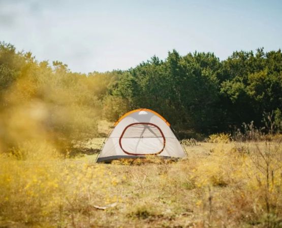 How to Camp in Rocky Mountain Meadows