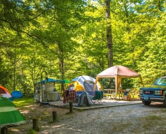 Best U.S. Campgrounds That Offer Boat Rentals – Explore Nature and Water Adventures